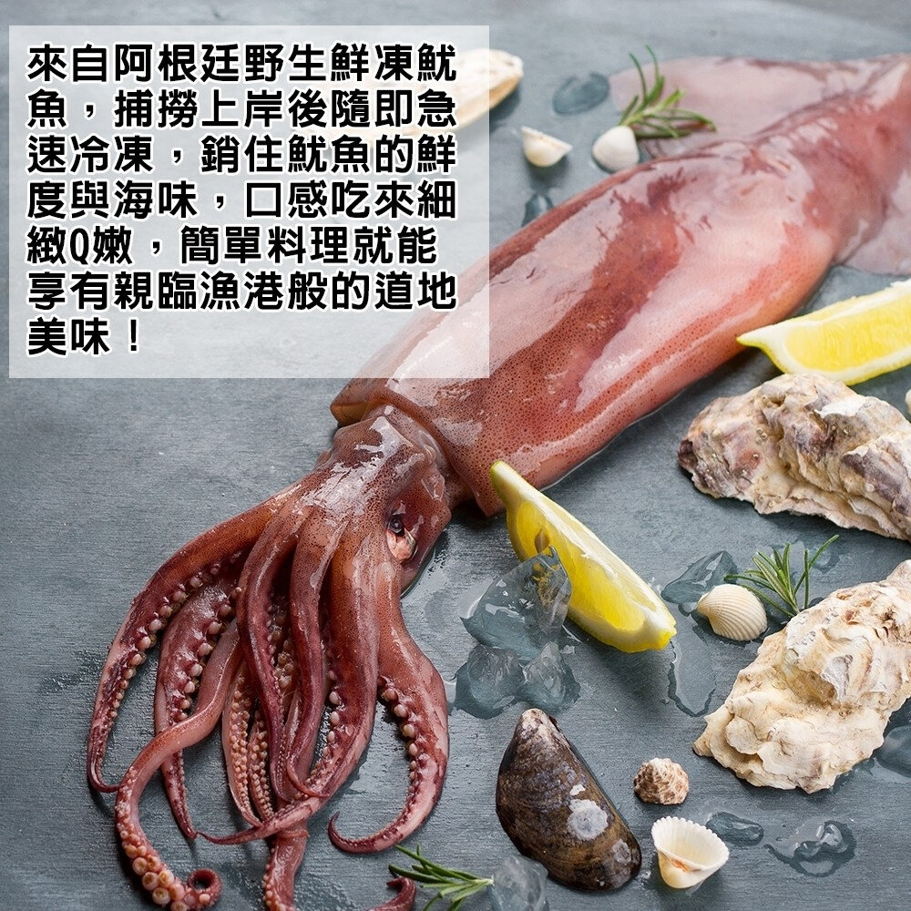 嚴選阿根廷野生鮮凍魷魚(每尾130-170g)【天天鮮配】滿額免運-圖片-2