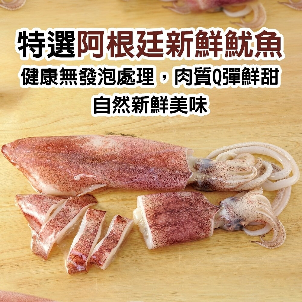 嚴選阿根廷野生鮮凍魷魚(每尾130-170g)【天天鮮配】滿額免運-圖片-3