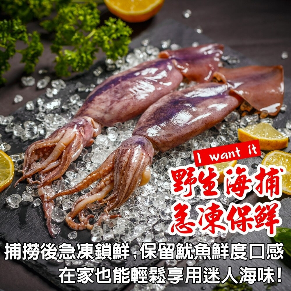 嚴選阿根廷野生鮮凍魷魚(每尾130-170g)【天天鮮配】滿額免運-圖片-4