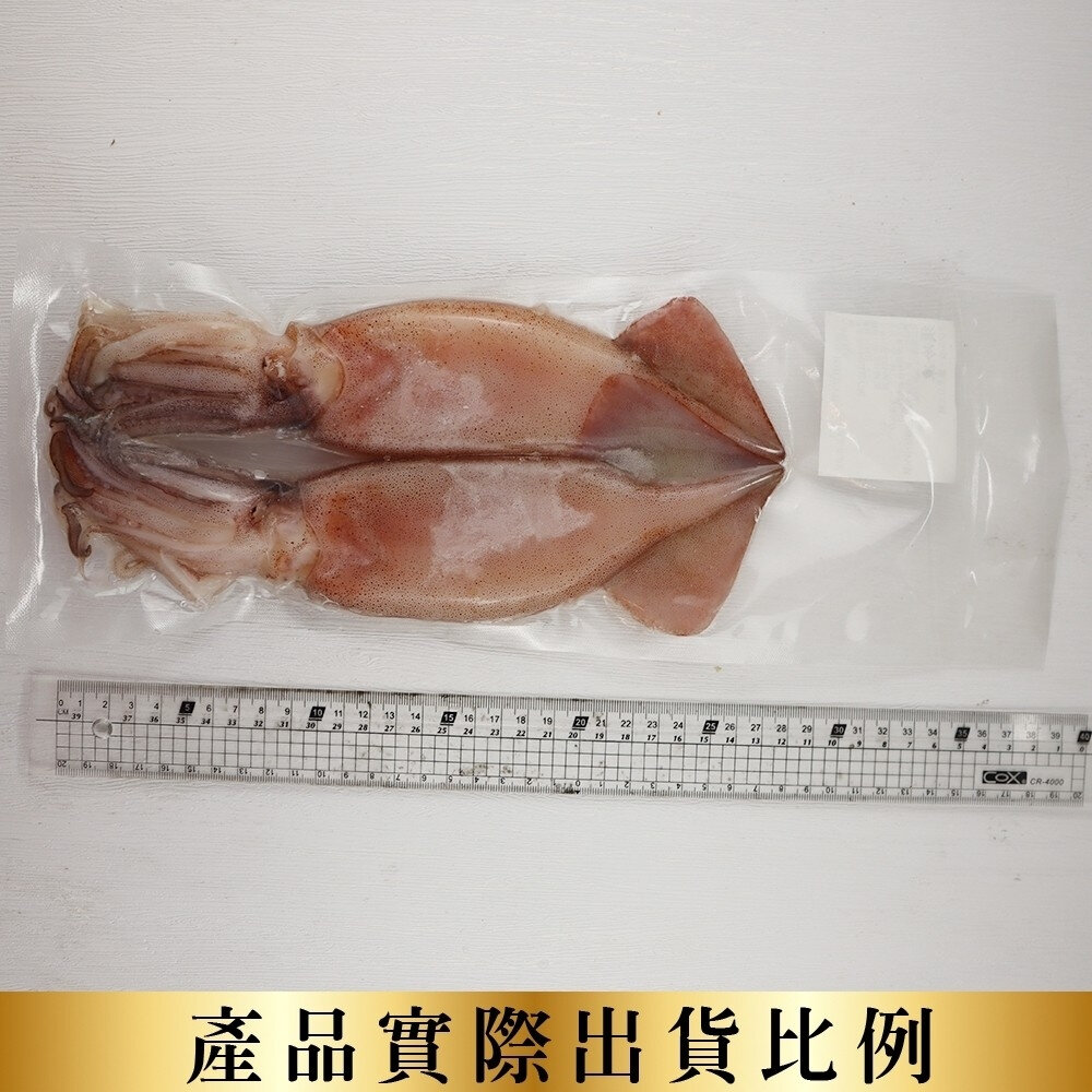 嚴選阿根廷野生鮮凍魷魚(每尾130-170g)【海陸管家】滿額免運-圖片-5