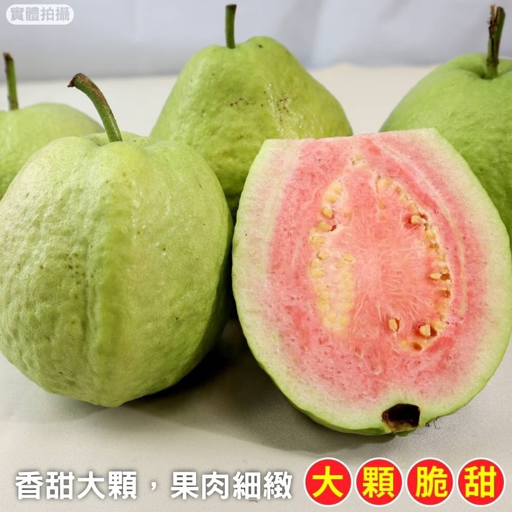 粉紅蜜芭樂【果農直配】全省免運-圖片-2