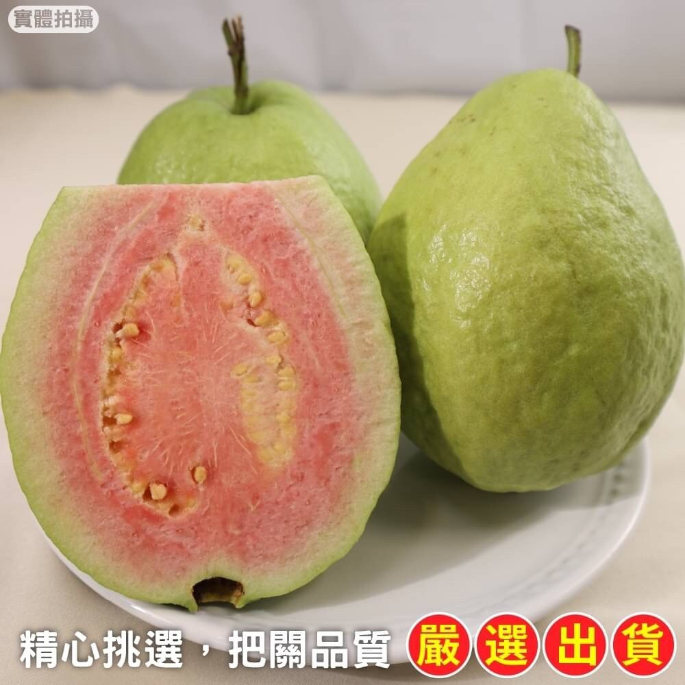 粉紅蜜芭樂【果農直配】全省免運-圖片-3
