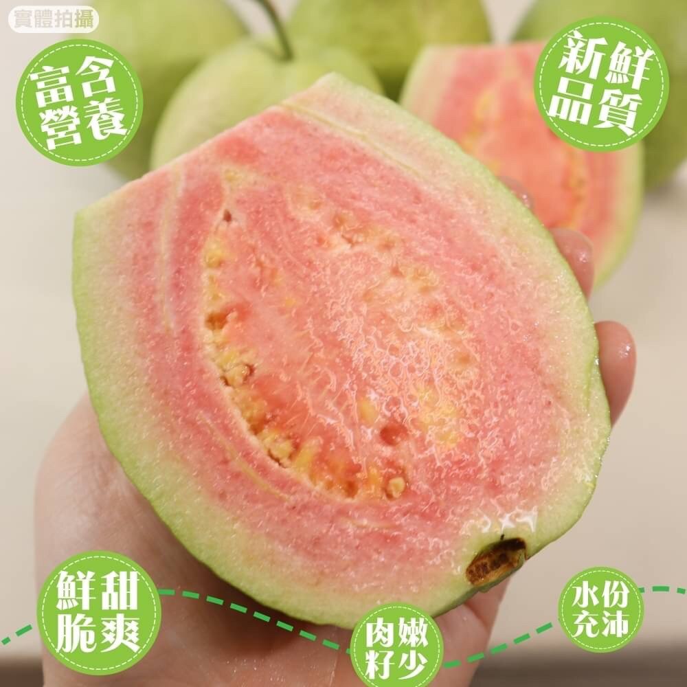 粉紅蜜芭樂【果農直配】全省免運-圖片-4
