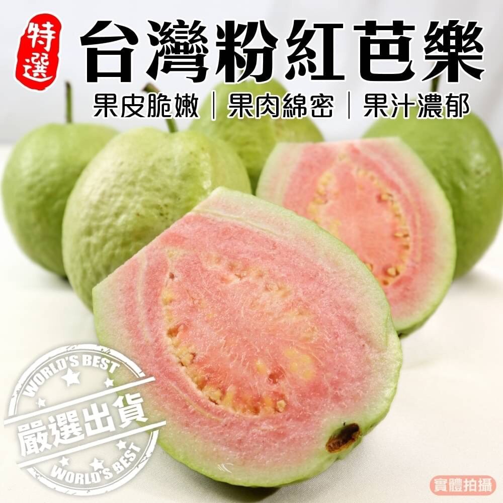 17490581237-粉紅蜜芭樂【果農直配】全省免運