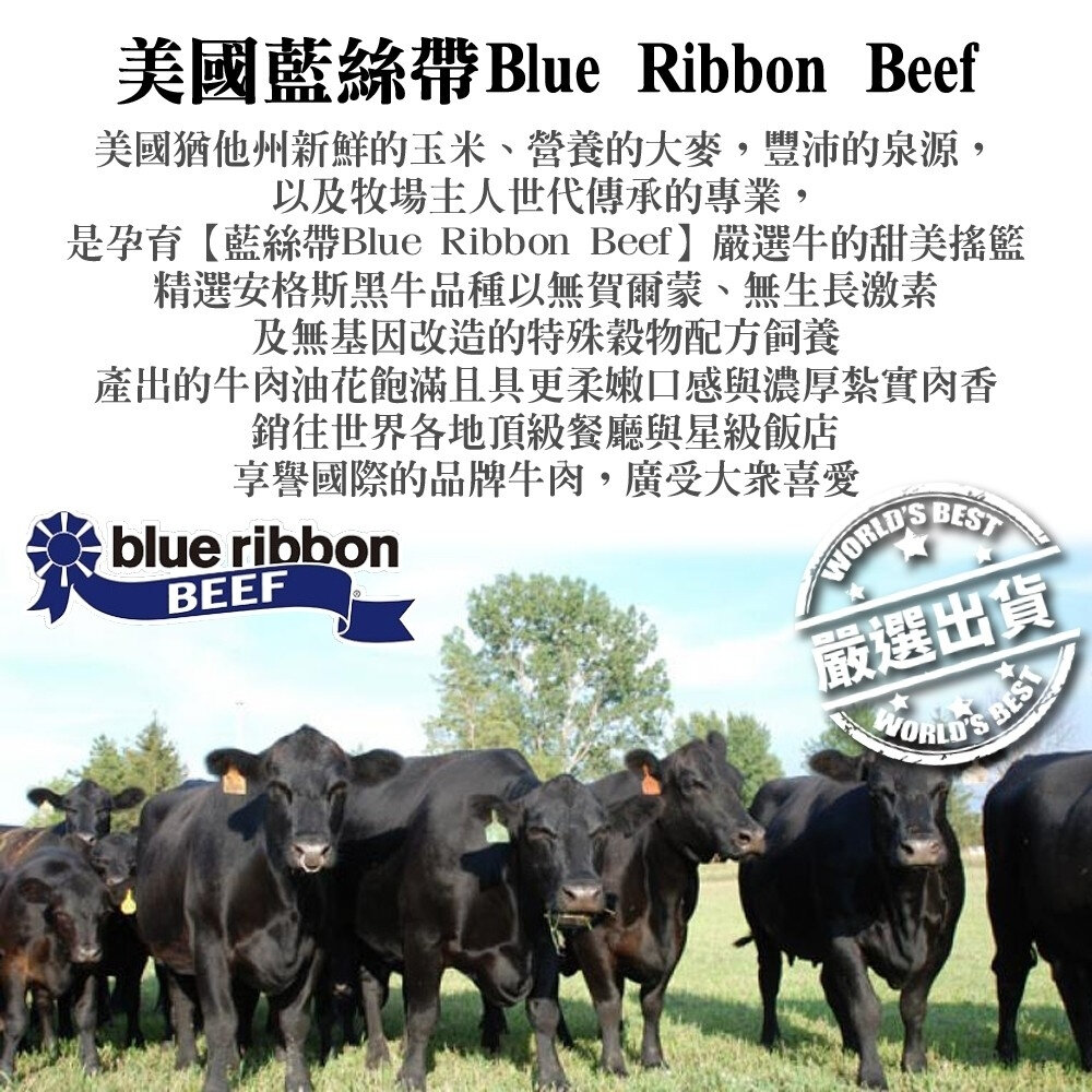 嚴選美國全牛套組12件組 贈日本烤肉醬 0運費【海陸管家】BBQ 燒烤 烤肉組 牛排 牛肉片-圖片-2