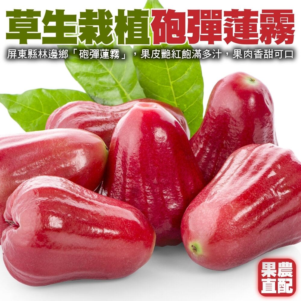 1770080753-屏東林邊草生栽植砲彈蓮霧 0運費【果之蔬】台灣蓮霧 屏東蓮霧 林邊蓮霧 台灣水果