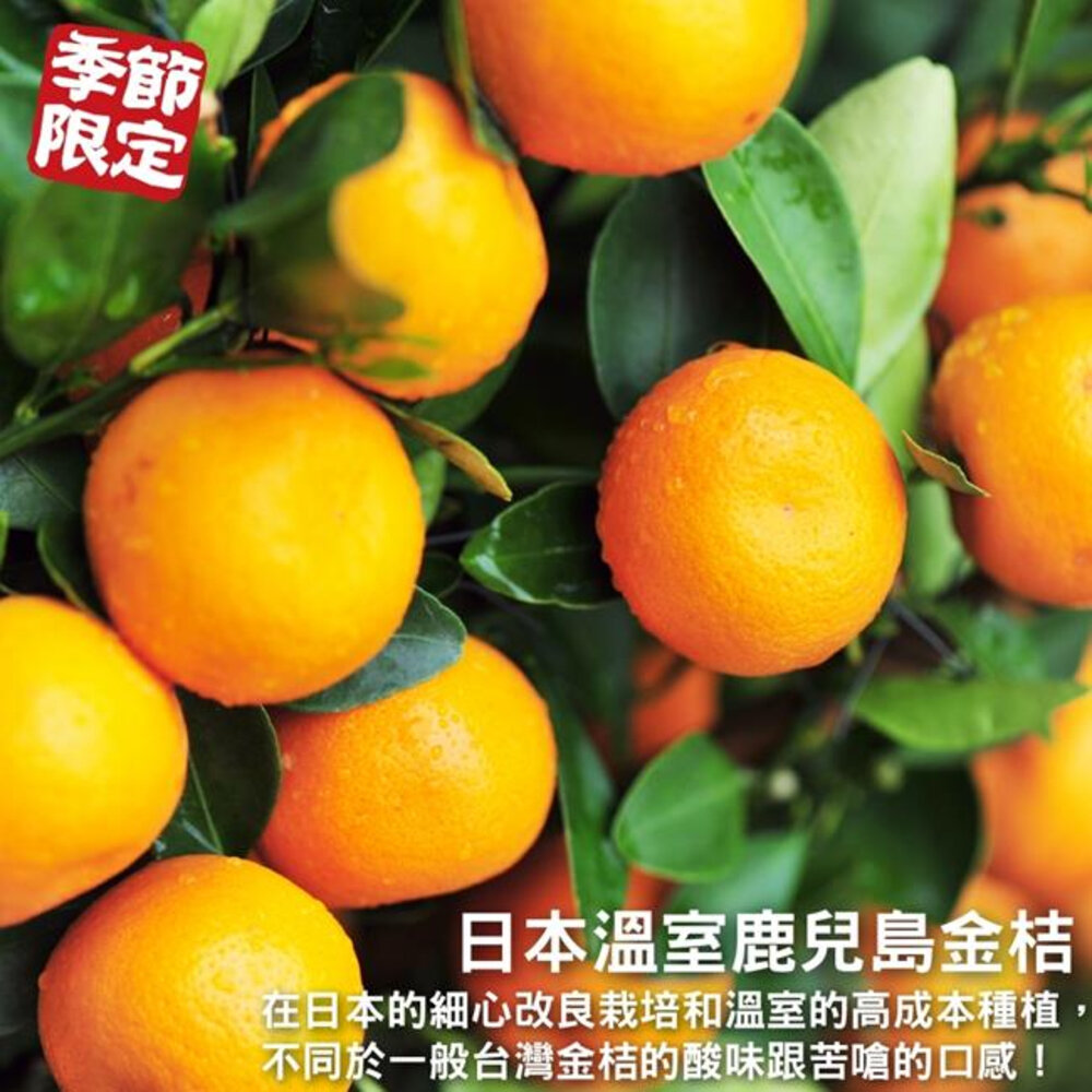 日本鹿兒島袋裝金桔(每袋250g±10%/10-13顆) 0運費【果之蔬】日本水果 日本金桔 金吉 日本金吉 鹿耳島金桔-圖片-2