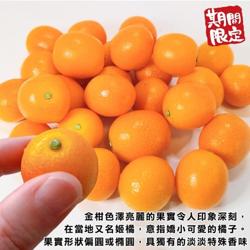 日本鹿兒島袋裝金桔(每袋250g±10%/10-13顆) 0運費【果之蔬】日本水果 日本金桔 金吉 日本金吉 鹿耳島金桔-圖片-3