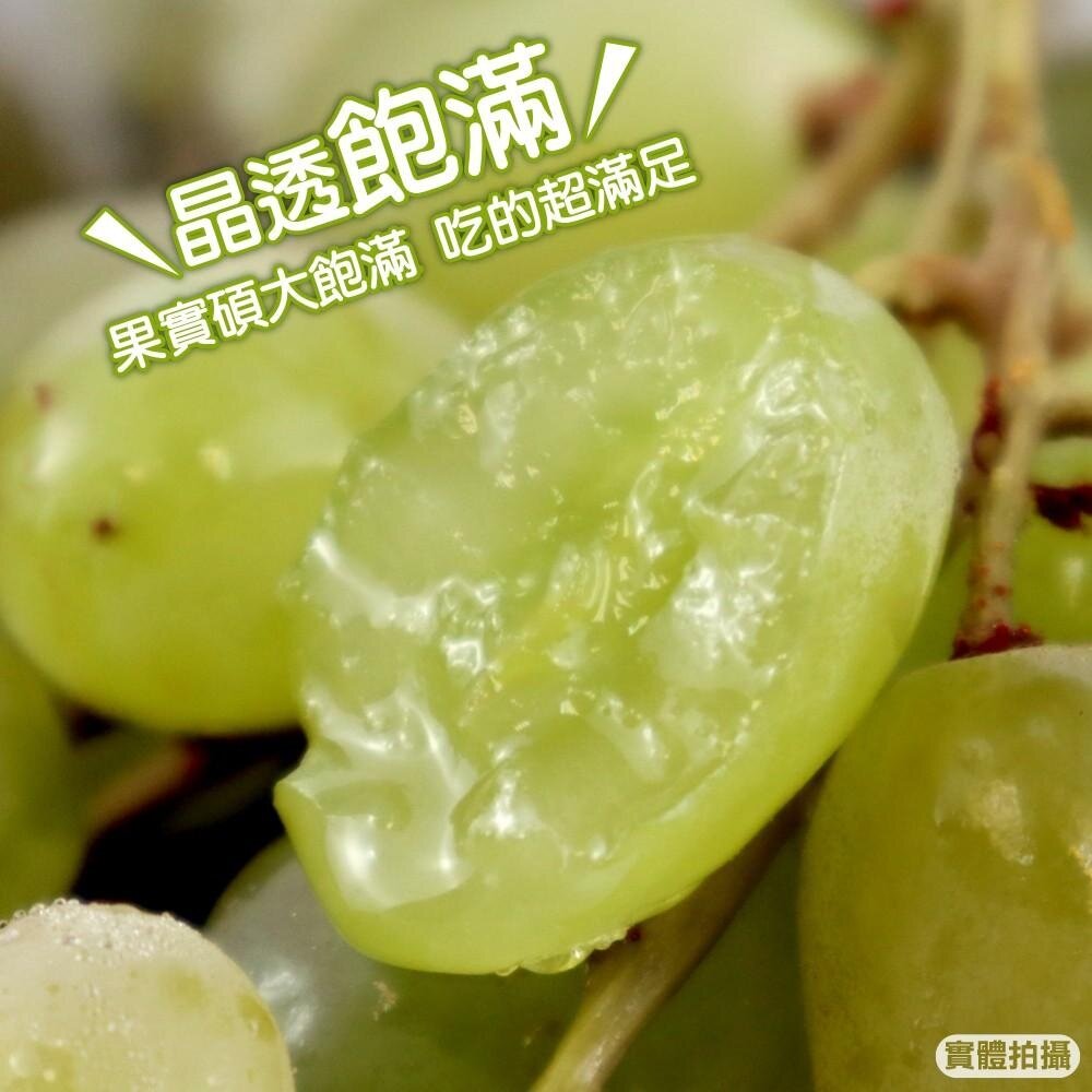 美國無籽綠葡萄 0運費【果之蔬】無籽葡萄 綠葡萄 綠無籽葡萄 美國葡萄-圖片-4