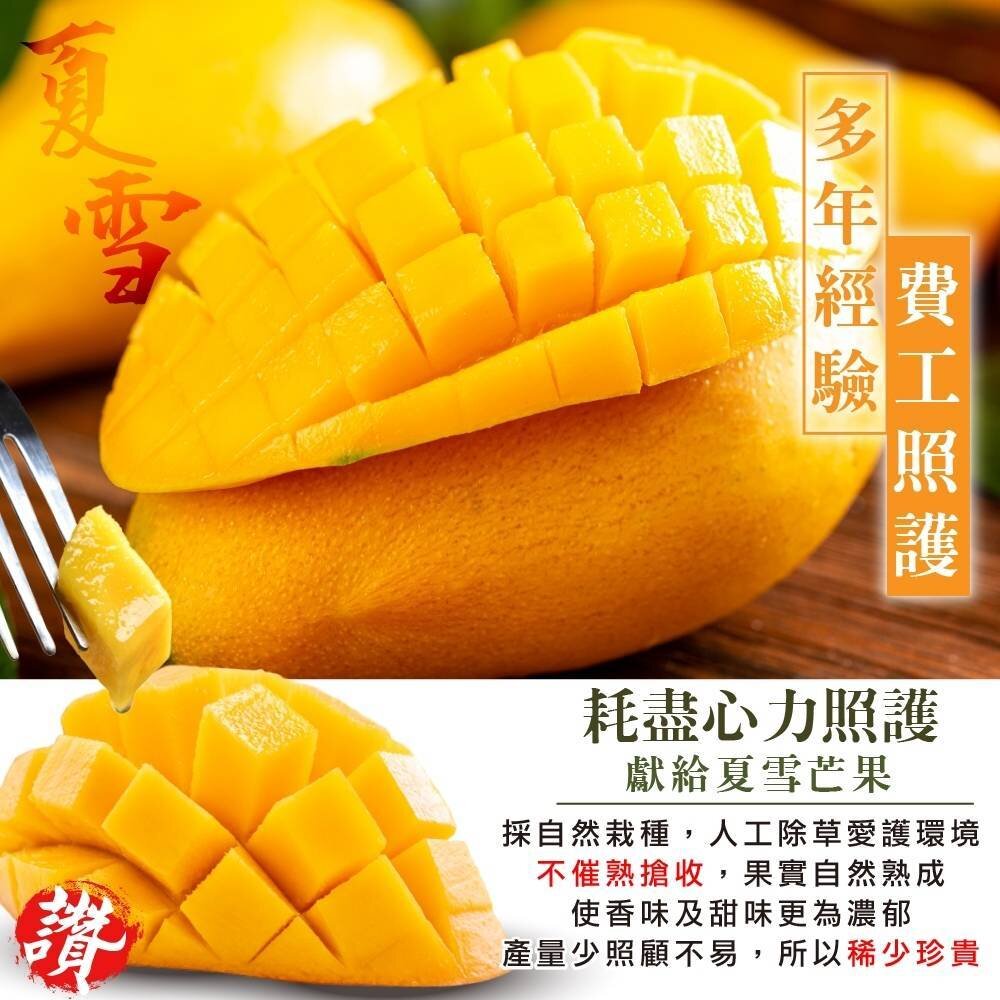 芒果界LV-A級夏雪芒果禮盒2.5kg±10%含箱 0運費【果農直配】-圖片-3