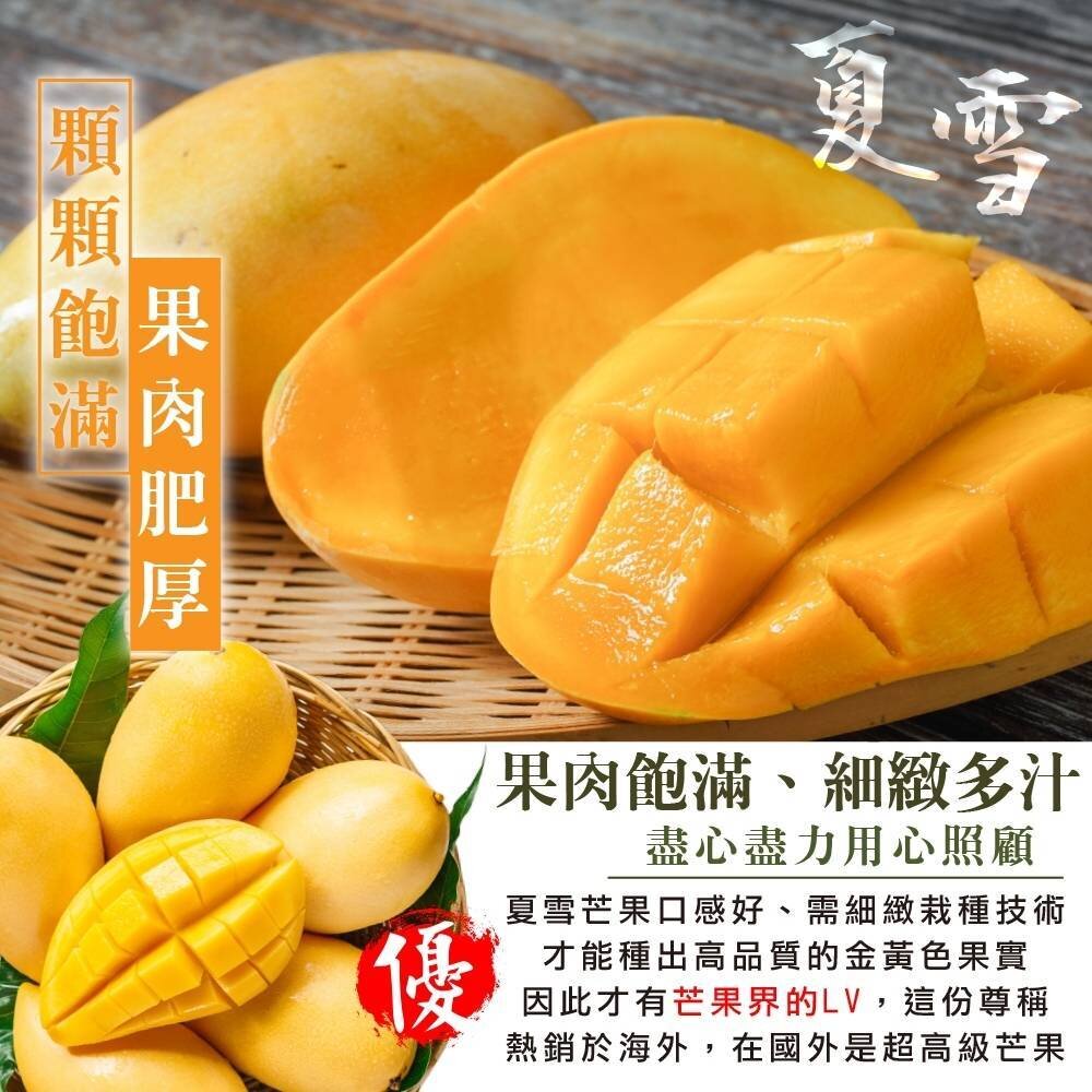 芒果界LV-A級夏雪芒果禮盒2.5kg±10%含箱 0運費【果農直配】-圖片-4