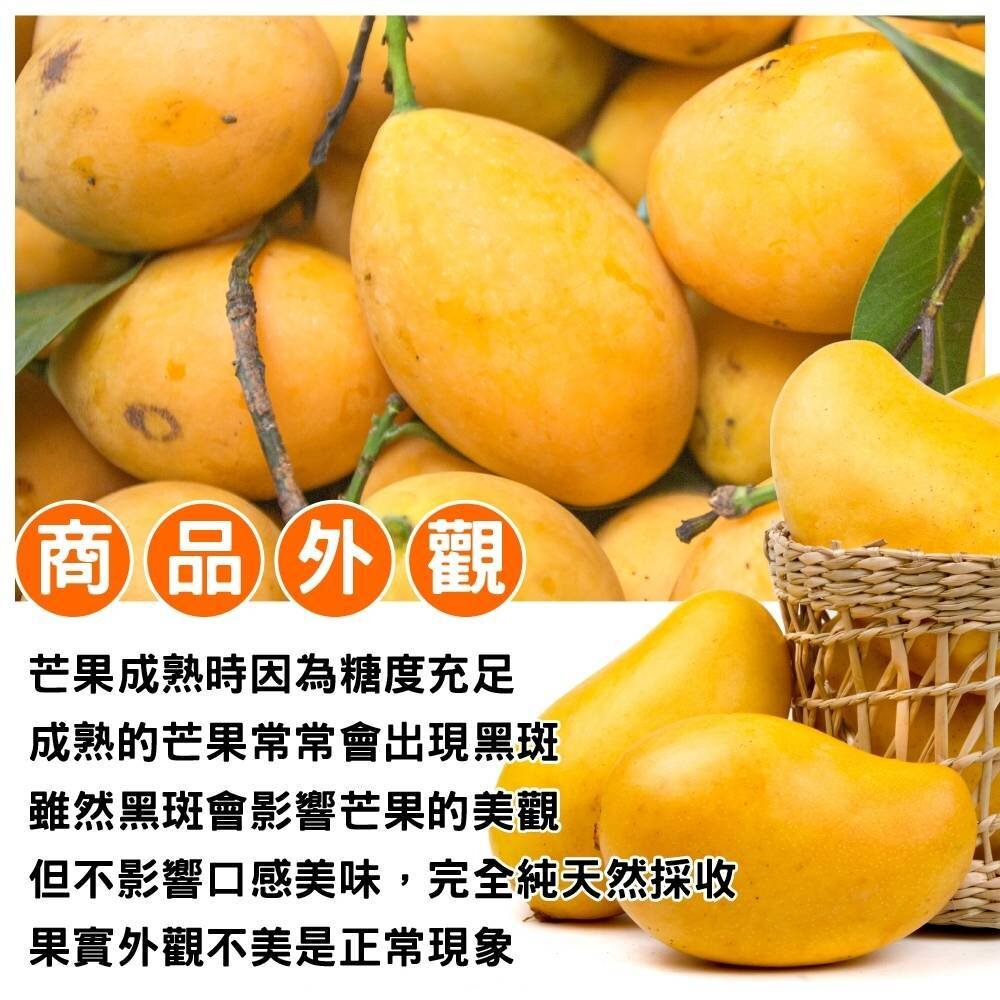 芒果界LV-A級夏雪芒果禮盒2.5kg±10%含箱 0運費【果農直配】-圖片-5