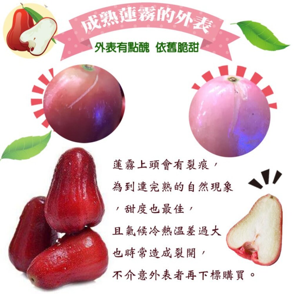 嘉義黑糖芭比蓮霧3斤±10%含盒 0運費【果之蔬】台灣蓮霧 黑糖蓮霧 LV等級蓮霧 蓮霧界LV-圖片-5