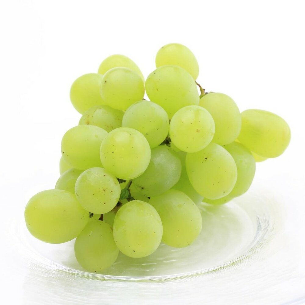 日本長野/山梨縣溫室麝香葡萄禮盒(每串350g±10%) 0運費【果之蔬】日本葡萄 無籽葡萄 綠葡萄 日本綠葡萄 日本水-圖片-1