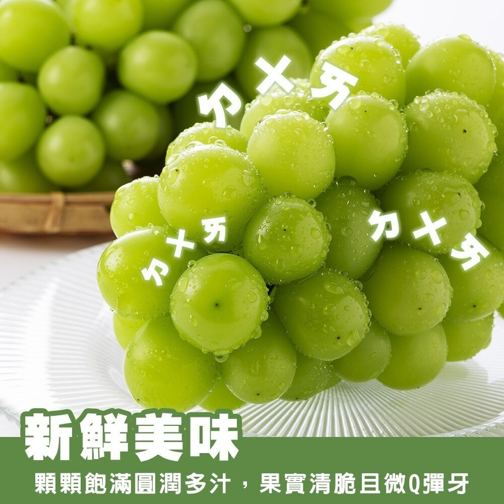日本長野/山梨縣溫室麝香葡萄禮盒(每串350g±10%) 0運費【果之蔬】日本葡萄 無籽葡萄 綠葡萄 日本綠葡萄 日本水-圖片-4