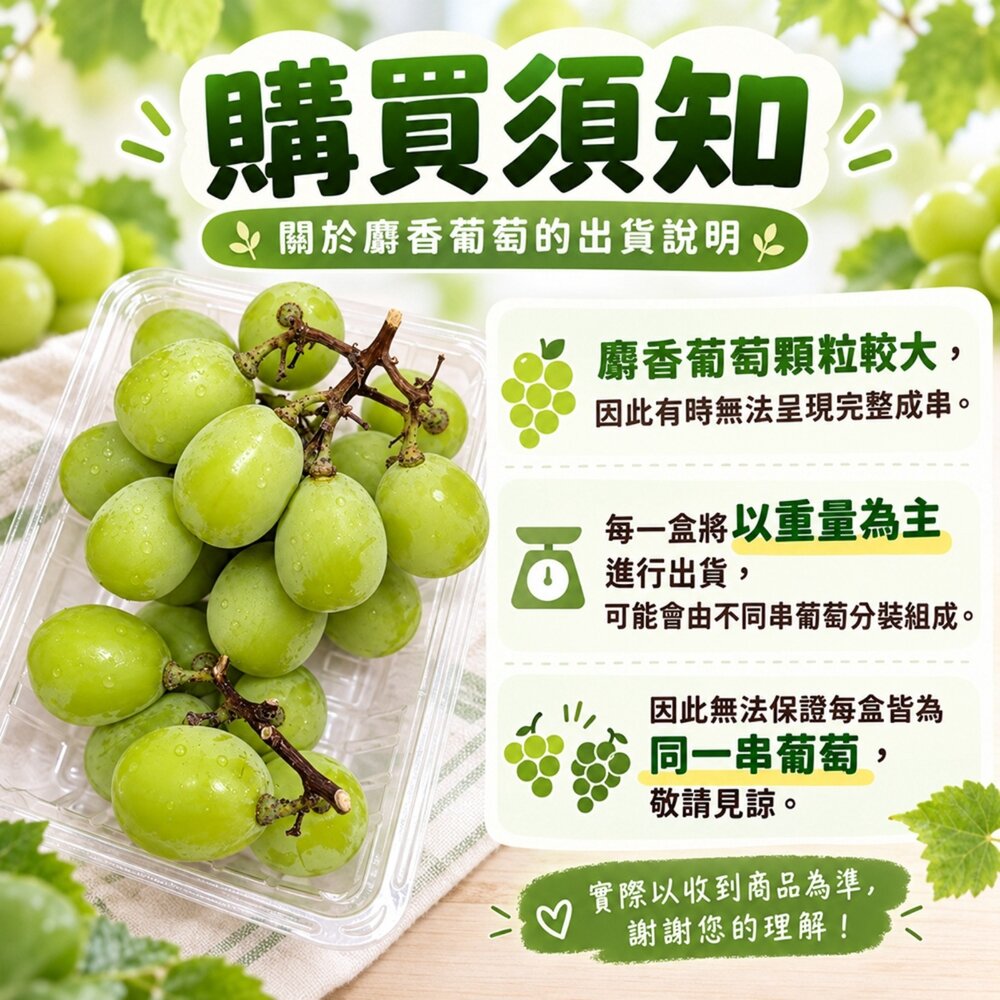 日本長野/山梨縣溫室麝香葡萄禮盒(每串350g±10%) 0運費【果之蔬】日本葡萄 無籽葡萄 綠葡萄 日本綠葡萄 日本水-圖片-8