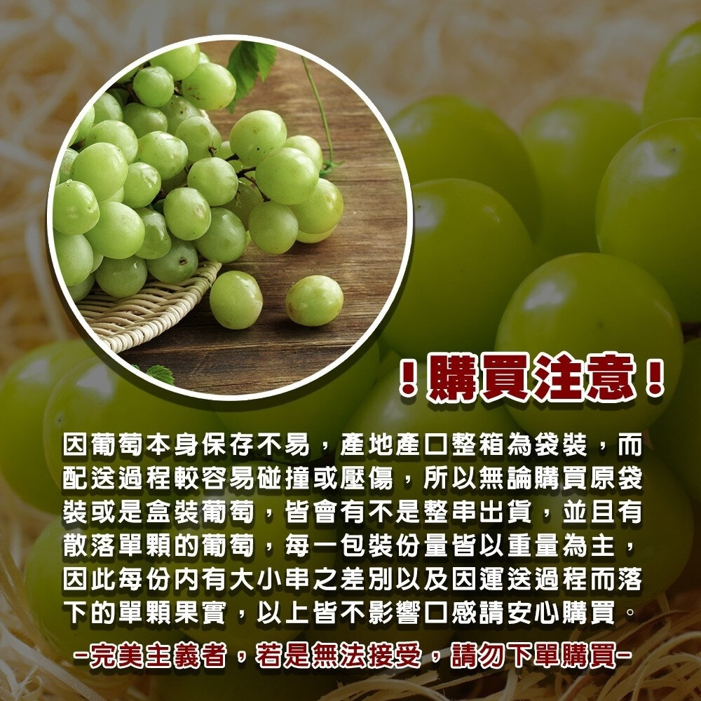日本長野/山梨縣溫室麝香葡萄禮盒(每串350g±10%) 0運費【果之蔬】日本葡萄 無籽葡萄 綠葡萄 日本綠葡萄 日本水-圖片-9