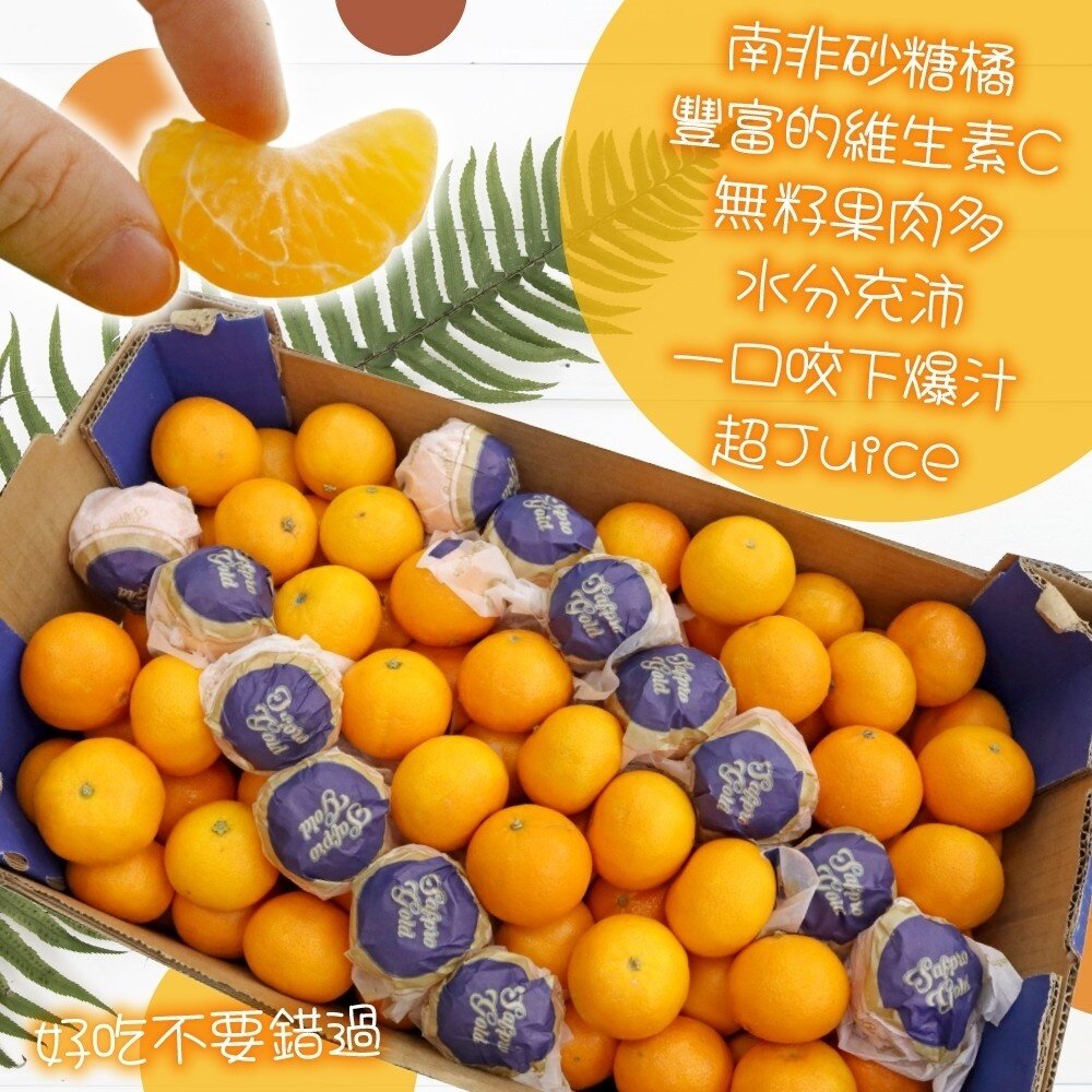 南非砂糖橘 原裝箱15斤±10%含箱 0運費【果之蔬】砂糖橘 進口砂糖橘 柑橘 橘子-圖片-1