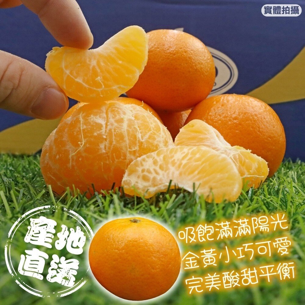 南非砂糖橘 原裝箱15斤±10%含箱 0運費【果之蔬】砂糖橘 進口砂糖橘 柑橘 橘子-圖片-3