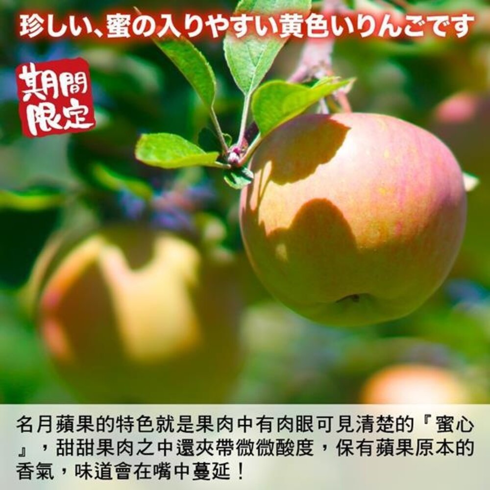 日本青森名月蜜蘋果 0運費【果之蔬】日本蘋果 青森蘋果 蜜蘋果 蘋果禮盒-圖片-3