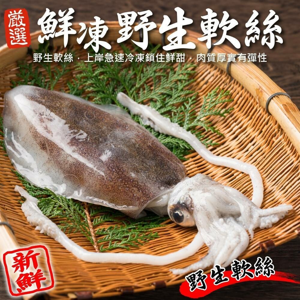野生特級軟絲(每隻200-300g)【海陸管家】滿額免運 封面照片