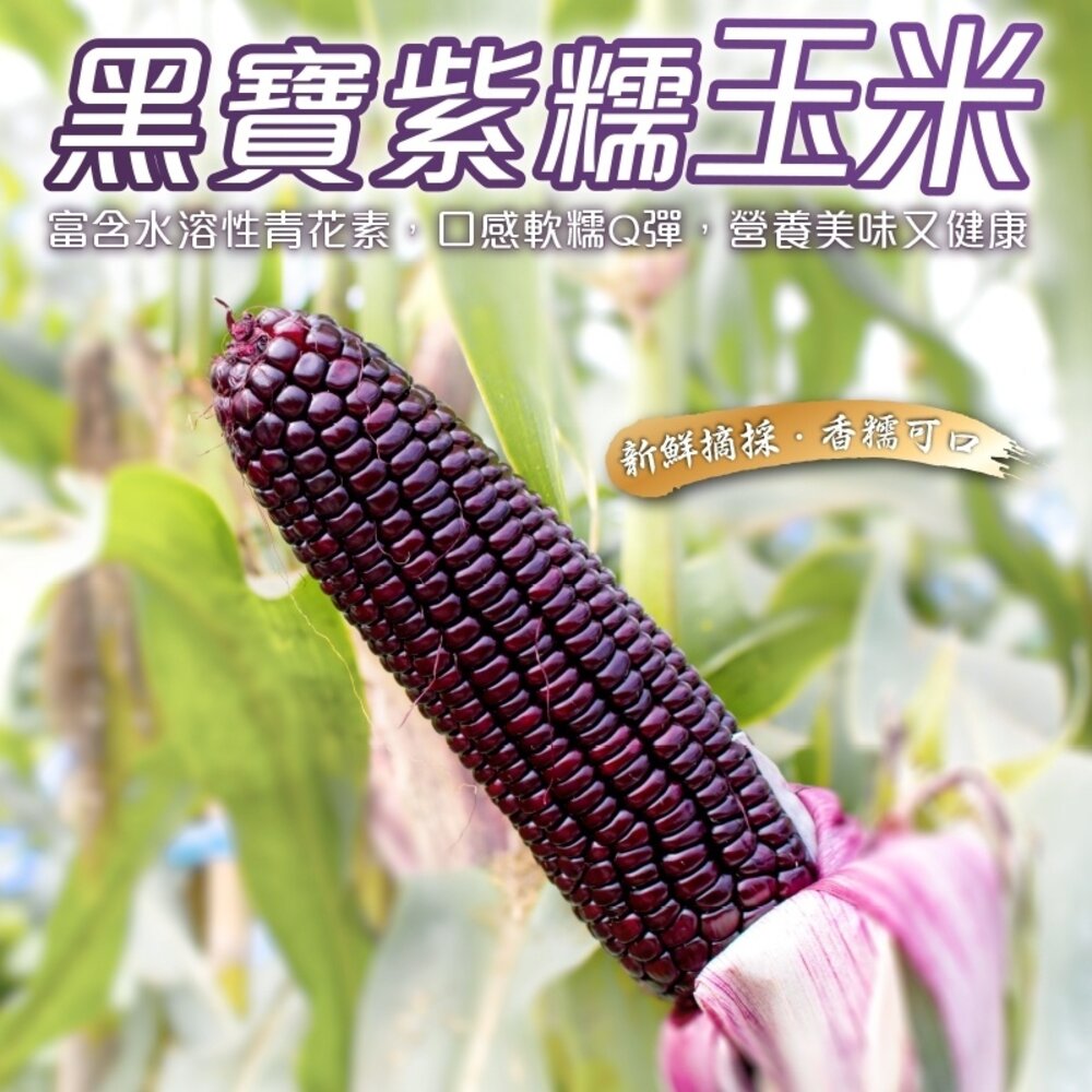18702103447-黑寶水果玉米 0運費【果農直配】