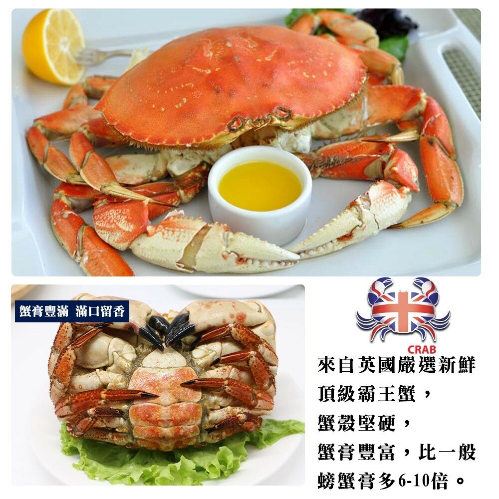 英國頂級霸王母蟹(每隻400~600g)【海陸管家】滿額免運-圖片-2