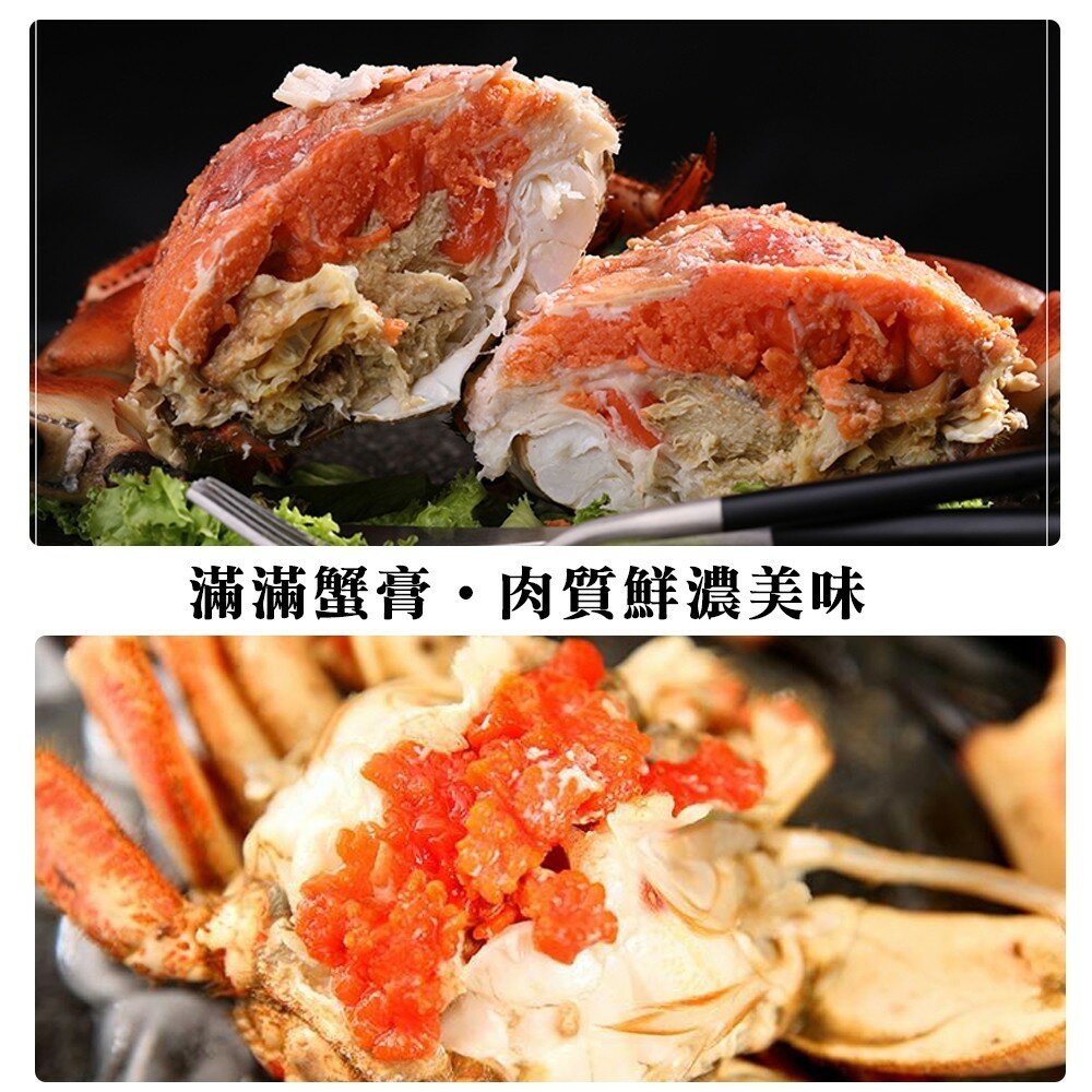 英國頂級霸王母蟹(每隻400~600g)【海陸管家】滿額免運-圖片-6