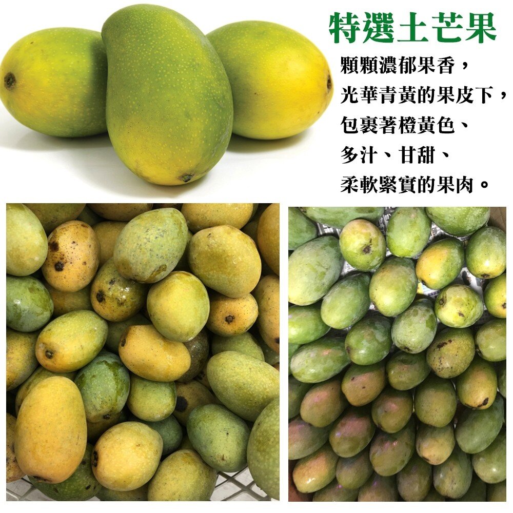 台灣鮮採土芒果 0運費【果之蔬】-圖片-5