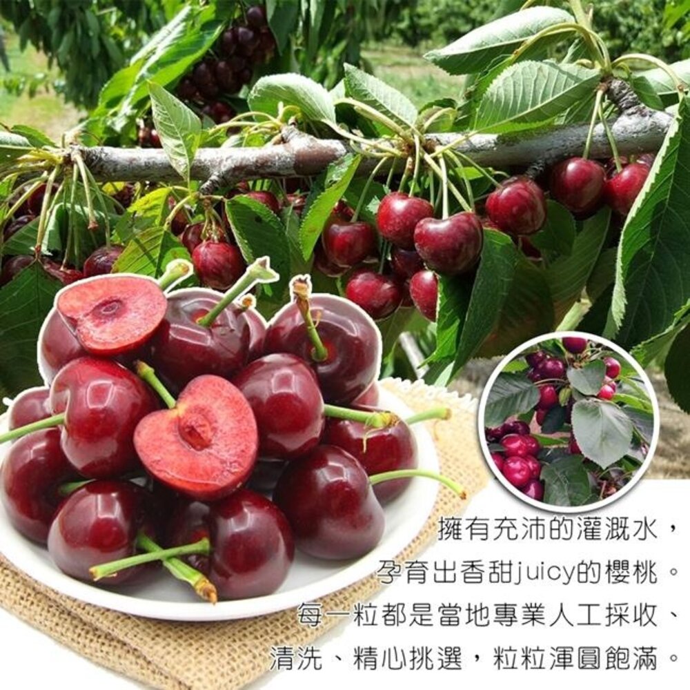 智利進口9.5R櫻桃禮盒 0運費【果之蔬】智利櫻桃 空運櫻桃 年節禮盒 水果禮盒-圖片-2