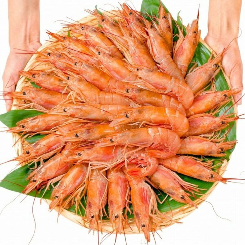 刺身用頂級XL巨無霸天使紅蝦 2kg±10%/30-40尾【海陸管家】滿額免運-圖片-1
