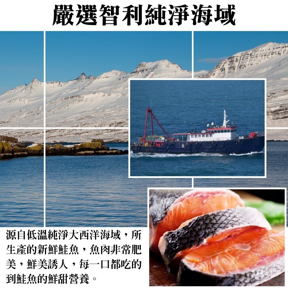 智利厚切鮭魚切片(每片300g±10%)【天天鮮配】滿額免運-圖片-2