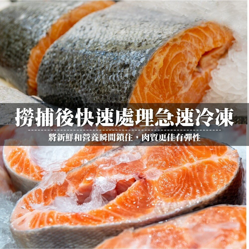 智利厚切鮭魚切片(每片300g±10%)【天天鮮配】滿額免運-圖片-3