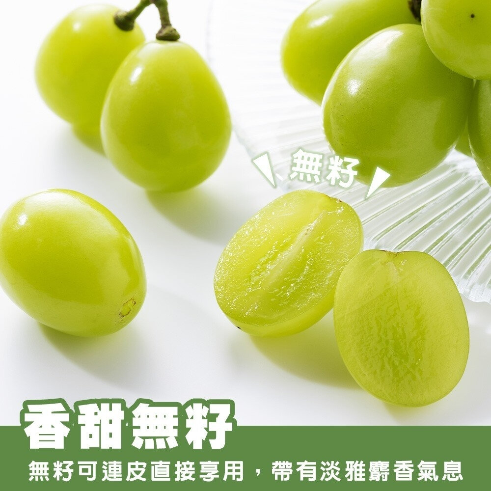 日本空運麝香葡萄特大房禮盒(每串670-750g) 0運費【果之蔬】日本葡萄 無籽葡萄 綠葡萄 日本綠葡萄 日本水果-圖片-6