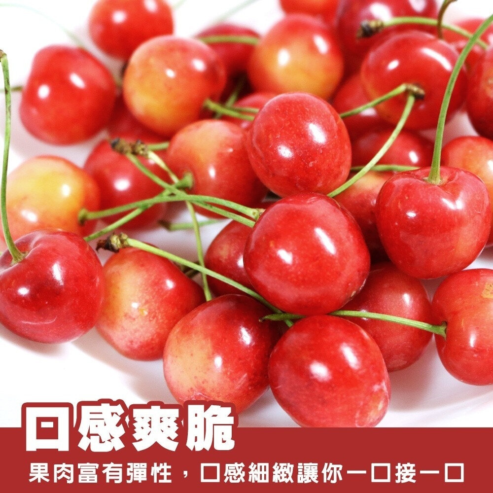 美國空運9R白櫻桃 0運費【果之蔬】美國櫻桃 櫻桃禮盒 白櫻桃禮盒 草莓櫻桃-圖片-3