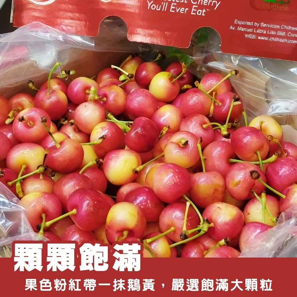 美國空運9R白櫻桃 0運費【果之蔬】美國櫻桃 櫻桃禮盒 白櫻桃禮盒 草莓櫻桃-圖片-4