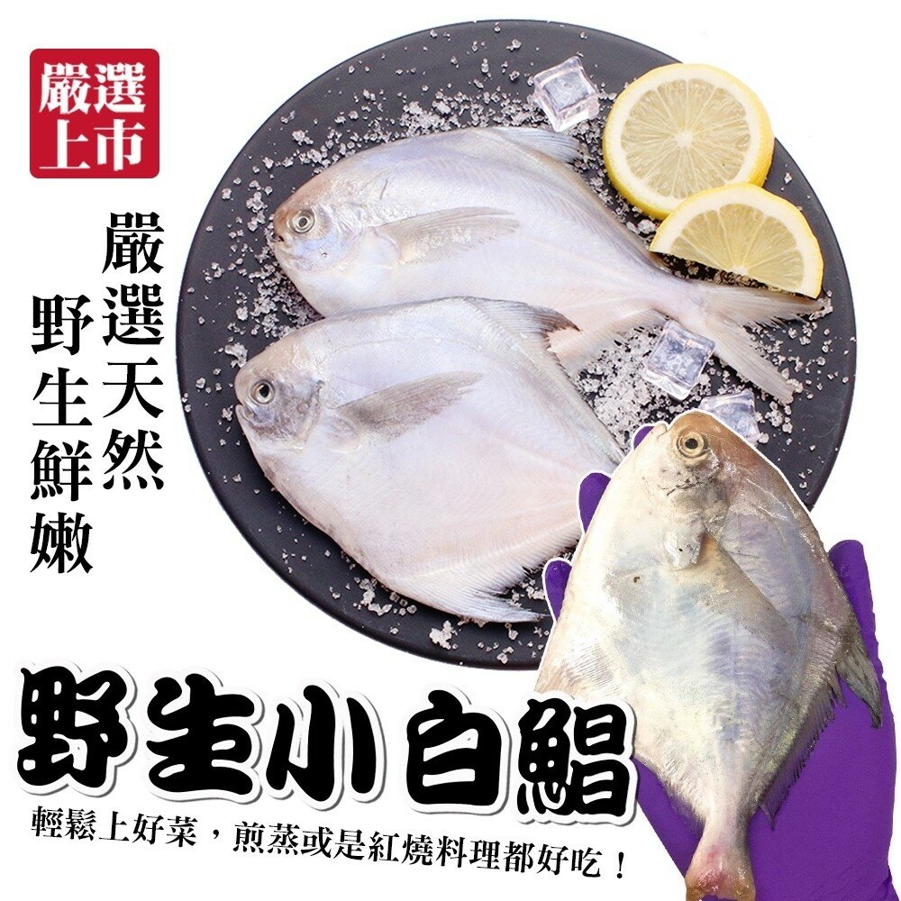 嚴選鮮嫩野生小白鯧(每包3-5尾/淨重240g±10%)【海陸管家】滿額免運-圖片-1