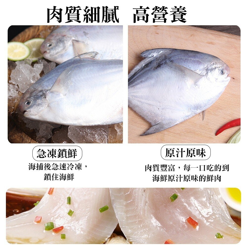 嚴選鮮嫩野生小白鯧(每包3-5尾/淨重240g±10%)【海陸管家】滿額免運-圖片-3