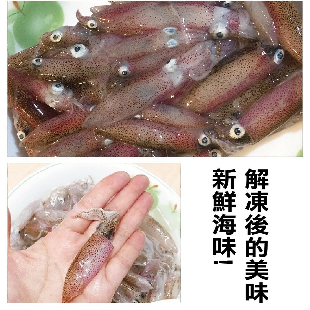 澎湖活凍生小管/小卷(每盒300g±10%)【海陸管家】滿額免運-圖片-1