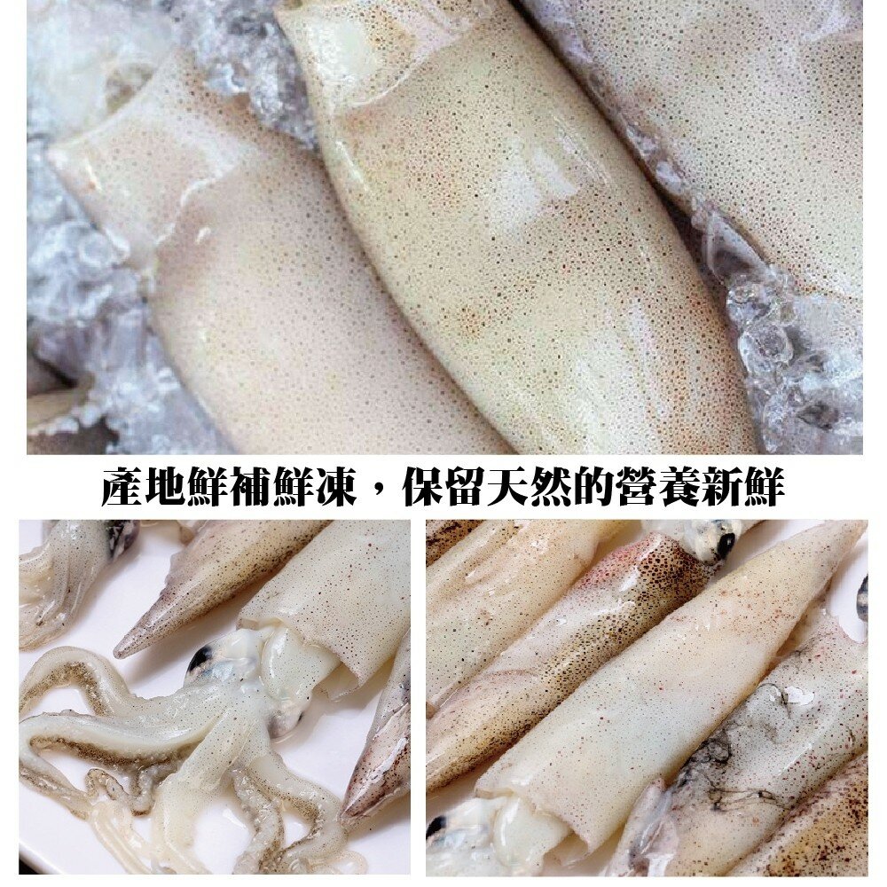 澎湖活凍生小管/小卷(每盒300g±10%)【海陸管家】滿額免運-圖片-3