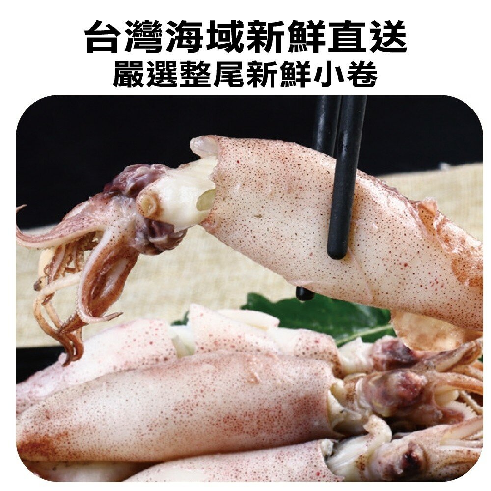 澎湖活凍生小管/小卷(每盒300g±10%)【海陸管家】滿額免運-圖片-4