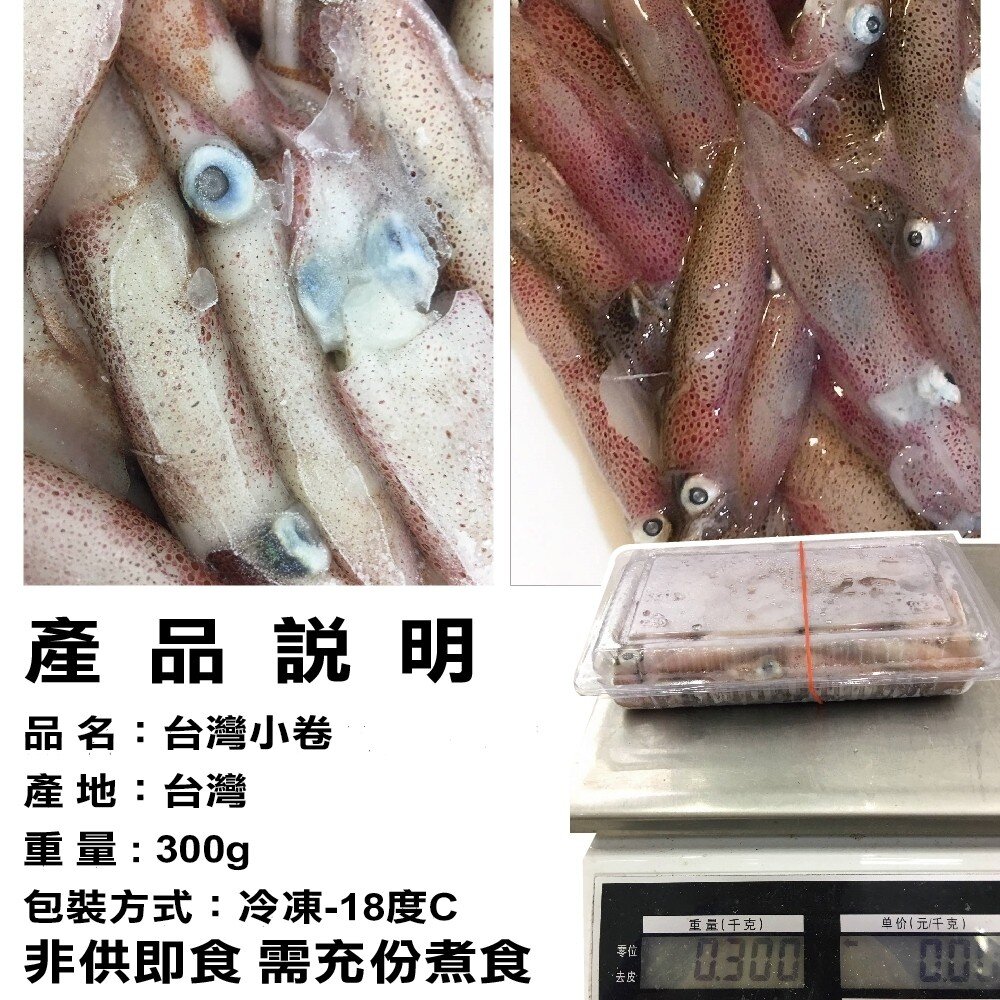 澎湖活凍生小管/小卷(每盒300g±10%)【天天鮮配】滿額免運-圖片-5