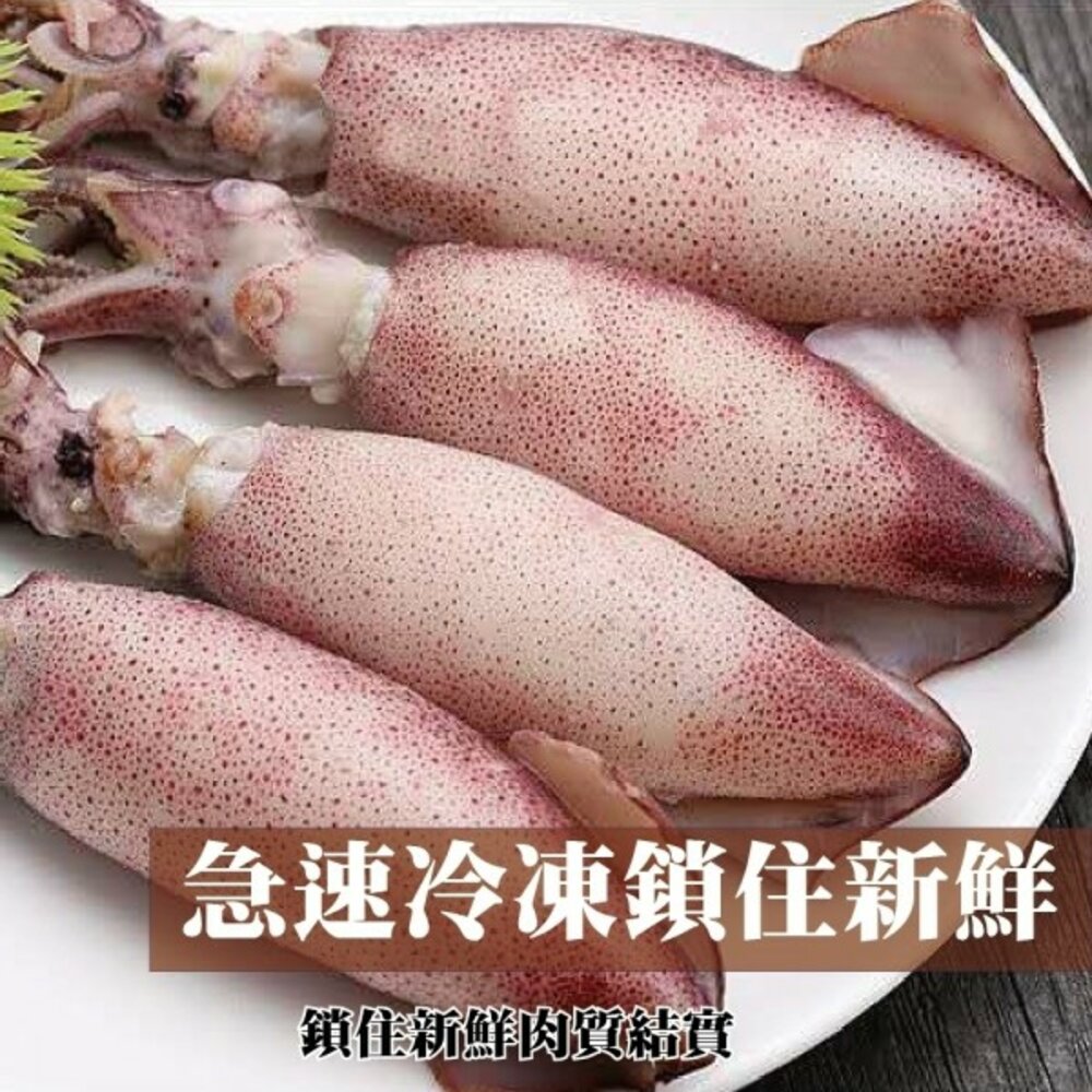 野生鮮甜QQ有卵小卷(每包250g±10%)【海陸管家】滿額免運-圖片-2