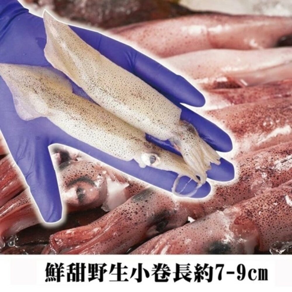 野生鮮甜QQ有卵小卷(每包250g±10%)【海陸管家】滿額免運-圖片-6