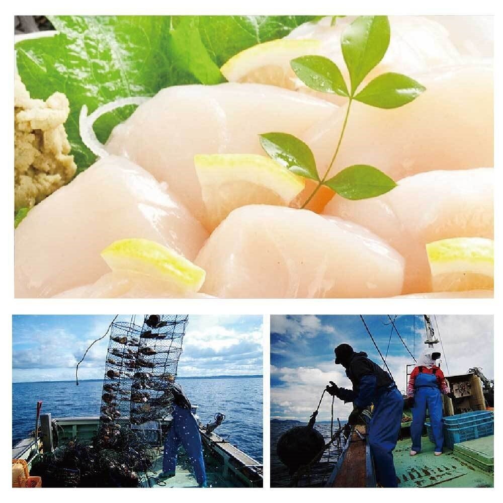 日本北海道生食級4S干貝(每包6顆/120g±10%)【海陸管家】滿額免運 日本干貝 生食干貝 生干貝 干貝刺身-圖片-1