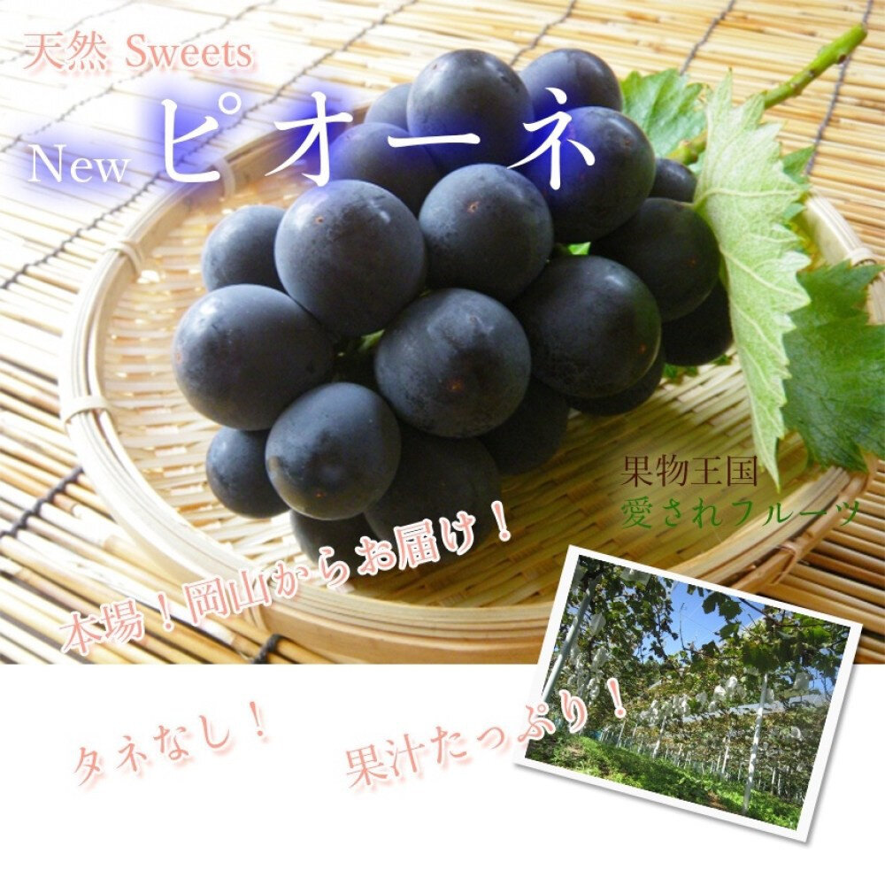 日本岡山/香川/長野貓眼巨峰葡萄原裝箱5kg±10%含箱 0運費【果之蔬】-圖片-2