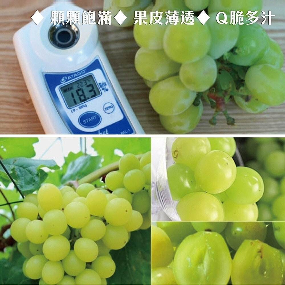 韓國空運無籽麝香葡萄(每串600-700g) 0運費【果之蔬】韓國葡萄 進口葡萄 韓國水果-圖片-4