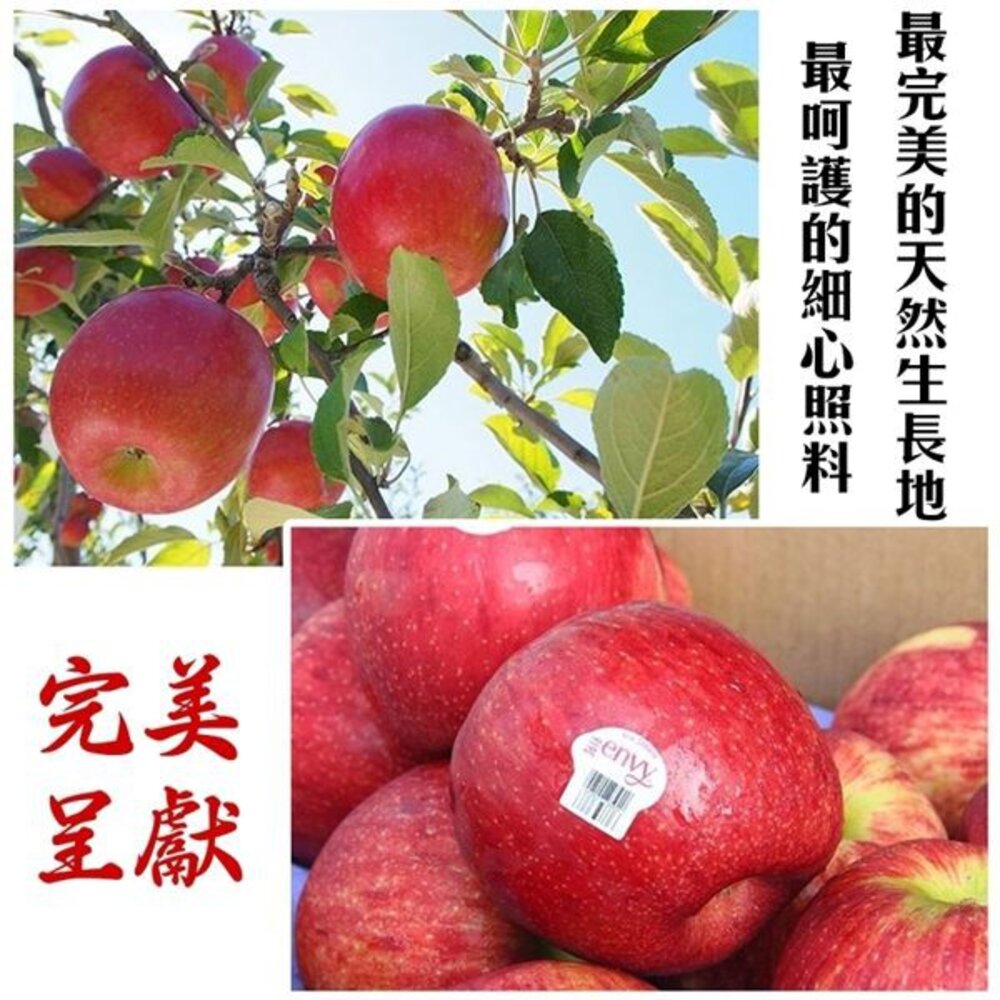 紐西蘭Envy愛妃蘋果禮盒 0運費【果之蔬】紐西蘭蘋果 進口蘋果 Envy蘋果 紐西蘭愛妃-圖片-5