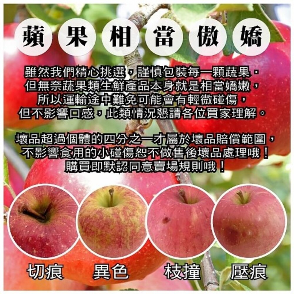 紐西蘭Envy愛妃蘋果禮盒 0運費【果之蔬】紐西蘭蘋果 進口蘋果 Envy蘋果 紐西蘭愛妃-圖片-7