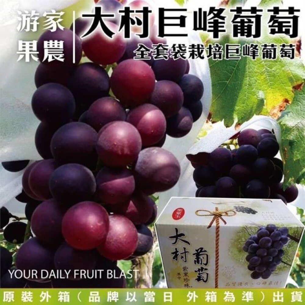 2279927604-大村巨峰葡萄(紫黑珍珠葡萄)(每箱3-4串/共4斤±10%含箱) 0運費【果農直配】紫葡萄 黑葡萄 珍珠葡萄 大村葡萄